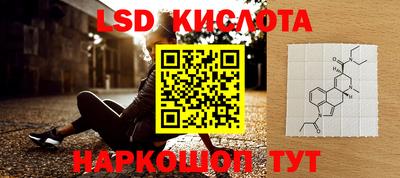 a pvp Новодвинск