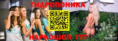 2c-b Новозыбков