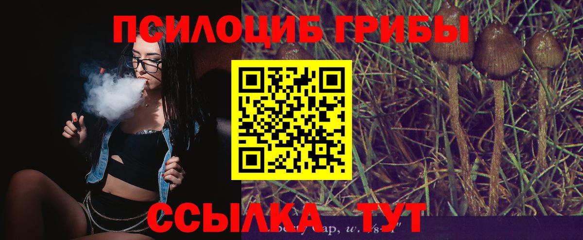 Псилоцибиновые грибы Magic Shrooms  Вход с VPN  Среднеуральск 