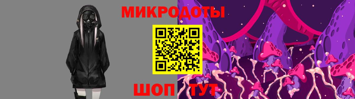Псилоцибиновые грибы Psilocybine cubensis Среднеуральск